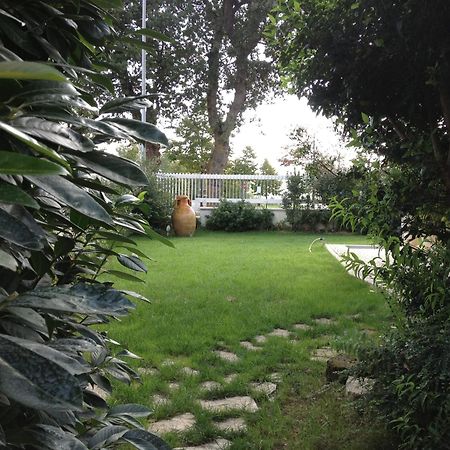 Villa Gioia Rooms Montegranaro Exterior foto